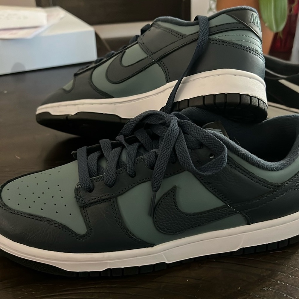 Brand new without box Nike Dunk Lows. Size 9.5